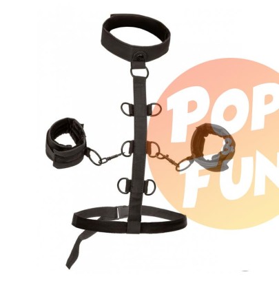 Acheter Attaches Sm Collar Body Restraint Boundless