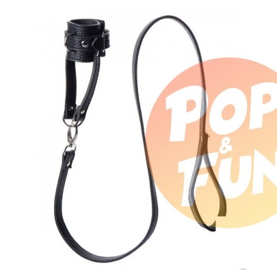 Acheter Ballstretcher avec une laisse