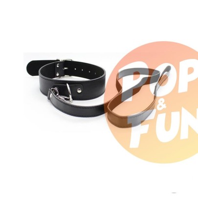 Acheter Collier Laisse Premium