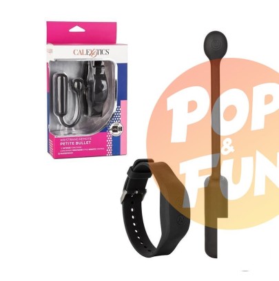 Acheter Oeuf Rechargeable Télécommandé Petite Bullet