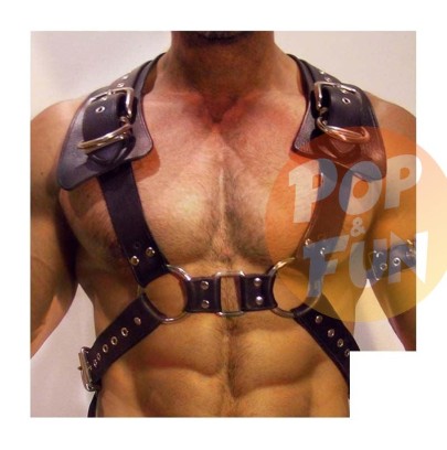 Harnais Gladiator Should Noir