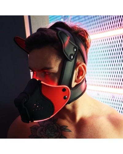 Masque Poundtown Pup Breedwell Noir-Rouge disponible sur Pop and Fun