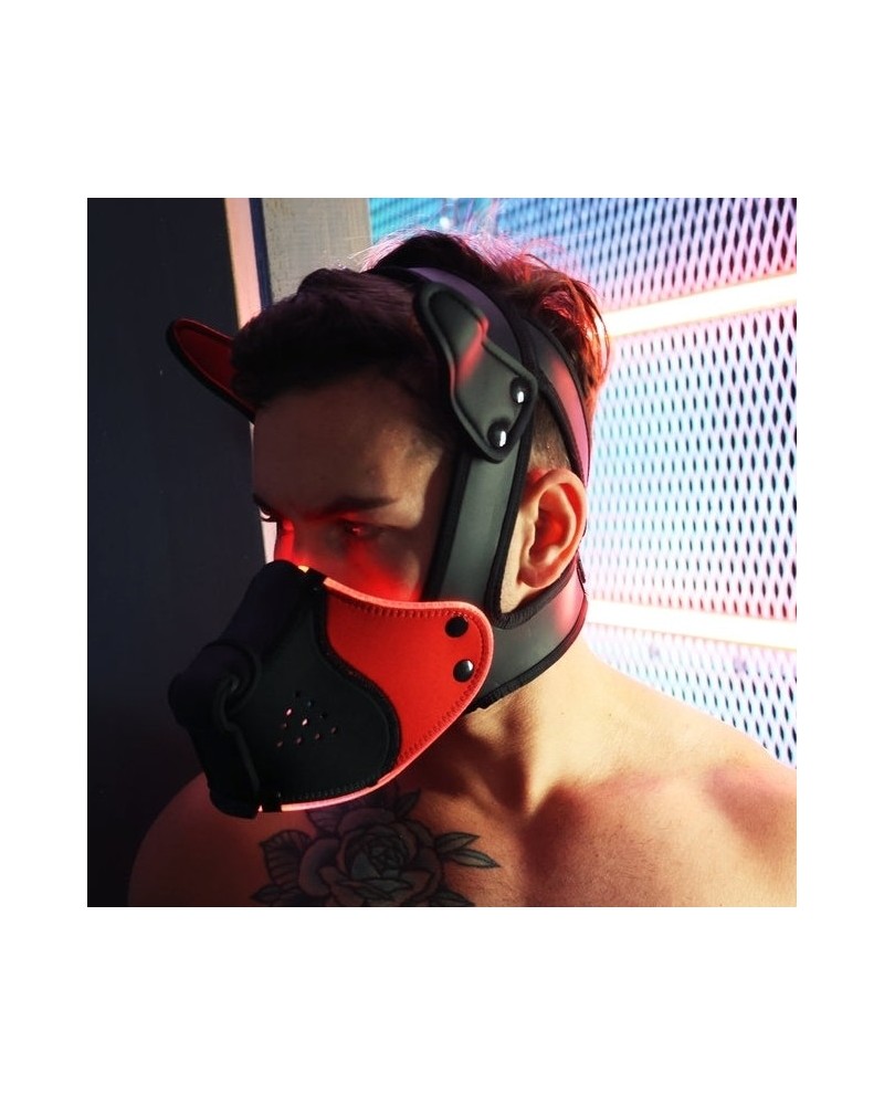 Masque Poundtown Pup Breedwell Noir-Rouge disponible sur Pop and Fun