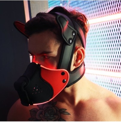 Masque Poundtown Pup Breedwell Noir-Rouge disponible sur Pop and Fun