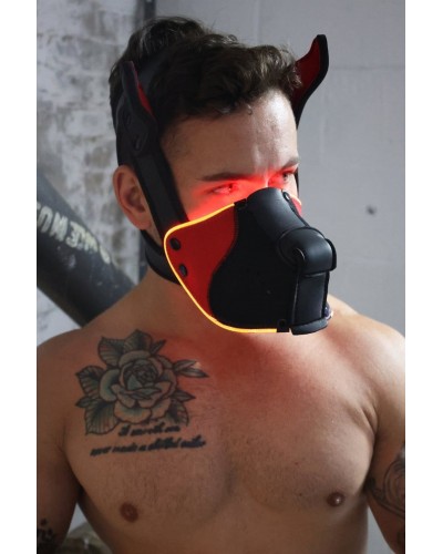 Masque Poundtown Pup Breedwell Noir-Rouge disponible sur Pop and Fun