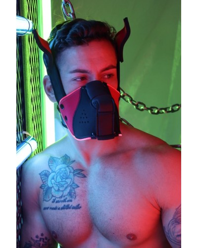 Masque Poundtown Pup Breedwell Noir-Rouge disponible sur Pop and Fun