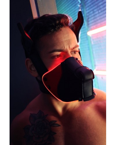 Masque Poundtown Pup Breedwell Noir-Rouge disponible sur Pop and Fun