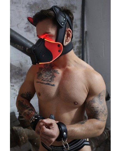 Masque Poundtown Pup Breedwell Noir-Rouge disponible sur Pop and Fun