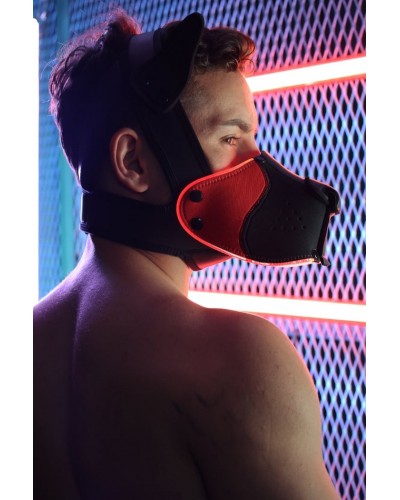 Masque Poundtown Pup Breedwell Noir-Rouge disponible sur Pop and Fun