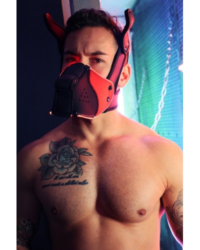 Masque Poundtown Pup Breedwell Noir-Rouge disponible sur Pop and Fun