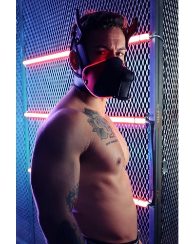 Masque Poundtown Pup Breedwell Noir-Rouge disponible sur Pop and Fun