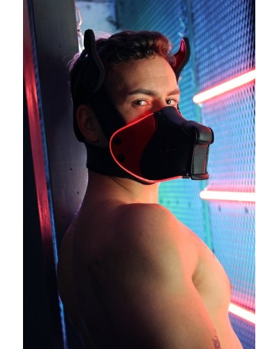 Masque Poundtown Pup Breedwell Noir-Rouge disponible sur Pop and Fun