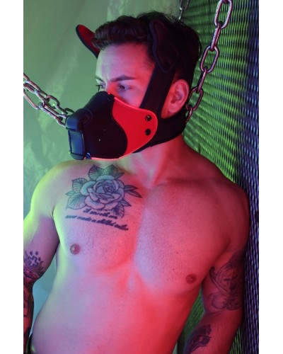 Masque Poundtown Pup Breedwell Noir-Rouge disponible sur Pop and Fun