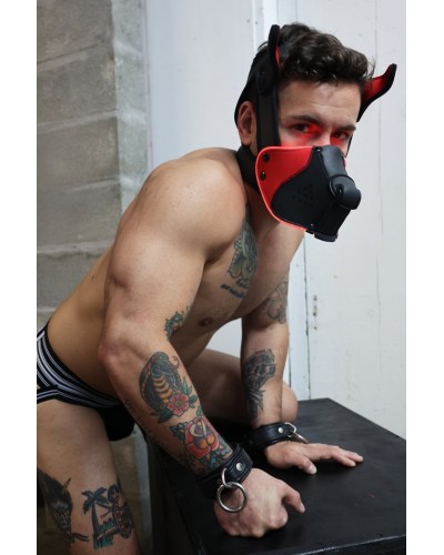 Masque Poundtown Pup Breedwell Noir-Rouge disponible sur Pop and Fun