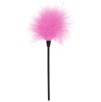 Mini Plumeau Sexy Feather 22cm Rose