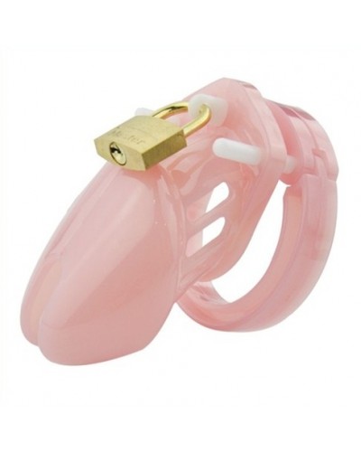 Cage de chasteté Mini Locky 6 x 3.2cm Rose disponible sur Pop and Fun