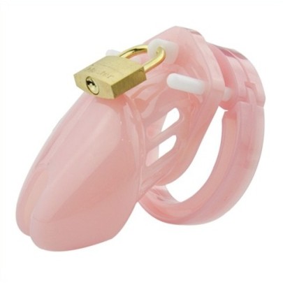 Cage de chasteté Mini Locky 6 x 3.2cm Rose disponible sur Pop and Fun