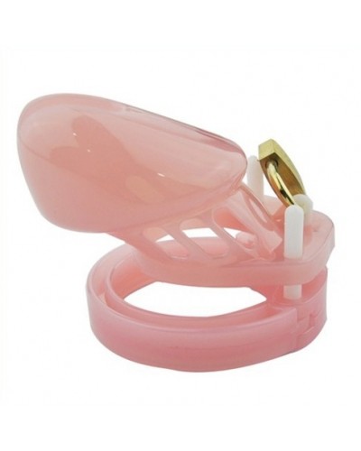 Cage de chasteté Mini Locky 6 x 3.2cm Rose disponible sur Pop and Fun