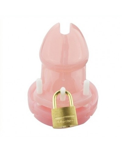 Cage de chasteté Mini Locky 6 x 3.2cm Rose disponible sur Pop and Fun