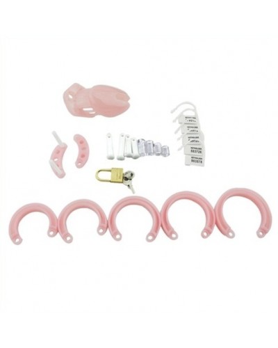 Cage de chasteté Mini Locky 6 x 3.2cm Rose disponible sur Pop and Fun