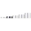 Ballstretcher magnétique Burton M - Hauteur 2cm - Poids 315g Ballstretcher magnétique Burton M - Hauteur 2cm - Poids 315g