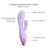 Vibro Rabbit Funky Bunny Love to Love Mauve