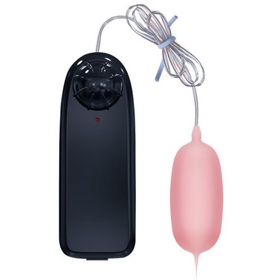 Oeuf Vibrant Eleanora BAILE disponible sur Pop and Fun