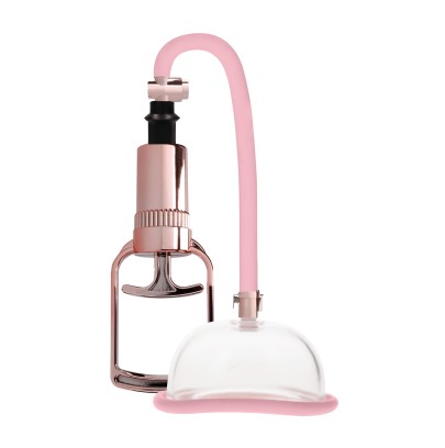 Pompe à vagin - Rose Gold disponible sur Pop and Fun
